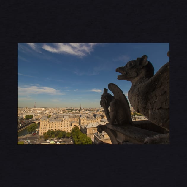 gargoyles of Notre Dame by Memories4you